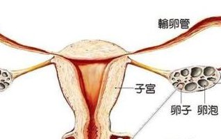 试管会打麻药吗？试管婴儿痛不痛？