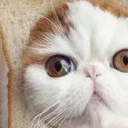 黄石三代试管怀孕医院的技术好不好？从三家医院可直接判断