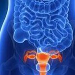 桂平三大助孕公司是哪三家？附真实费用参考