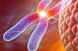 河南省试管助孕机构品牌大盘点，揭秘最适合您的选择！